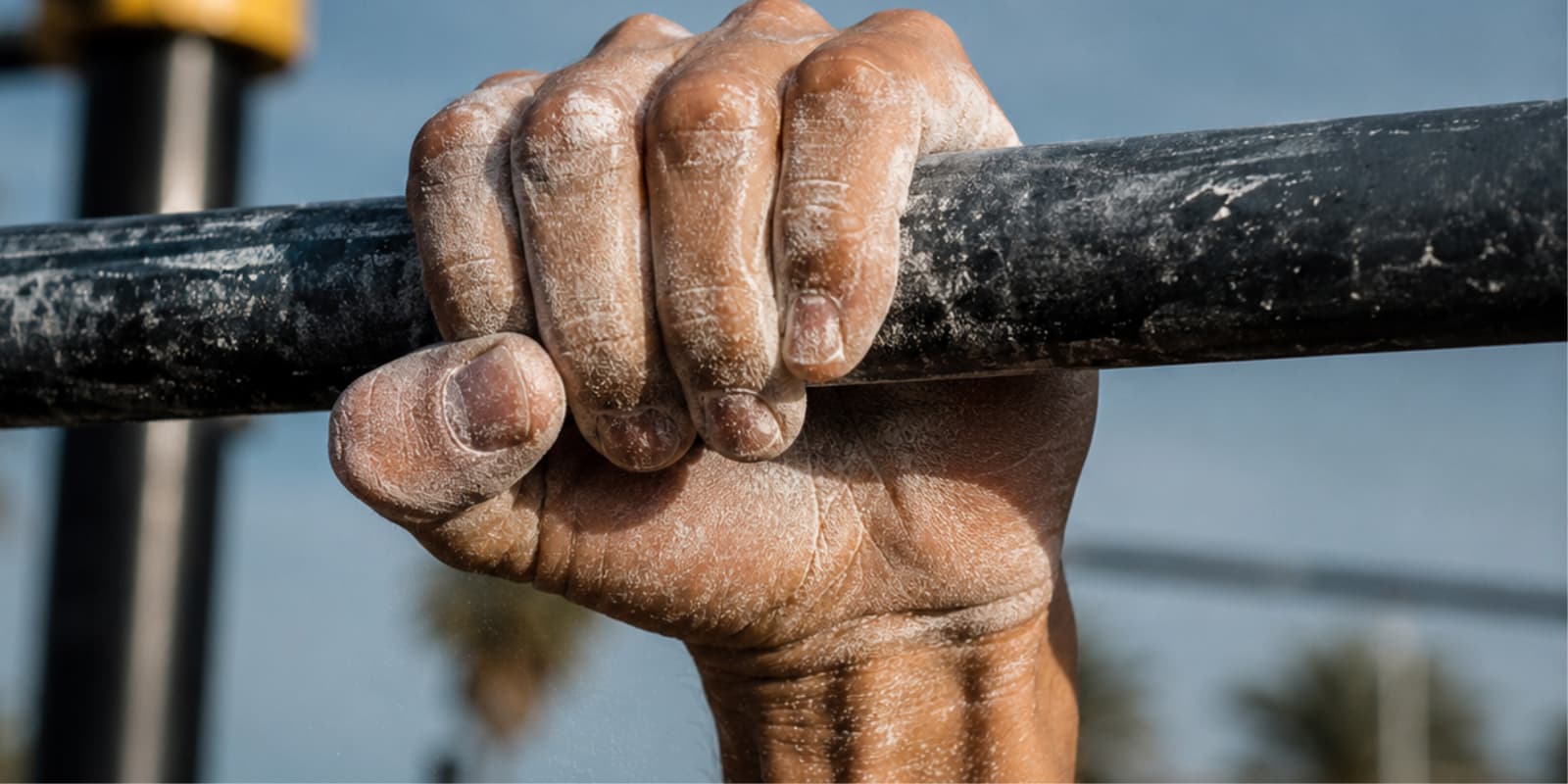 Grip / Force